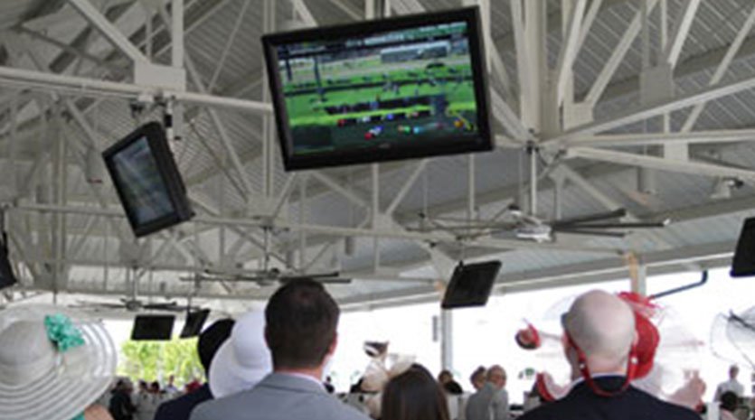 Spectators at a horse race watching video displays of the race